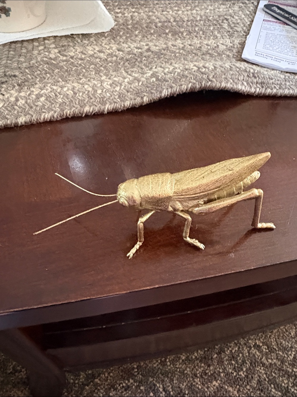 Grasshopper
